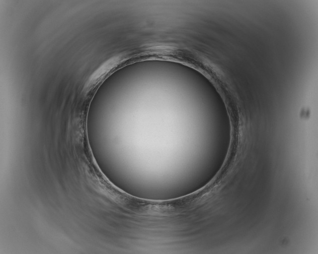 X0000113611354200909251132