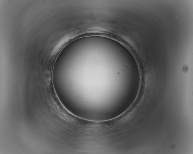 X0000113611355200909251132