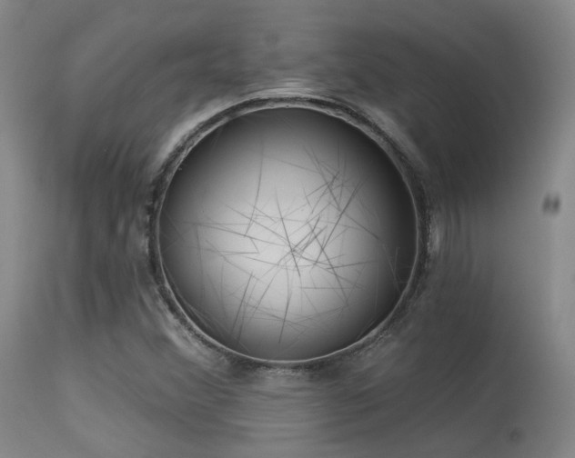 X0000113611356200909251132