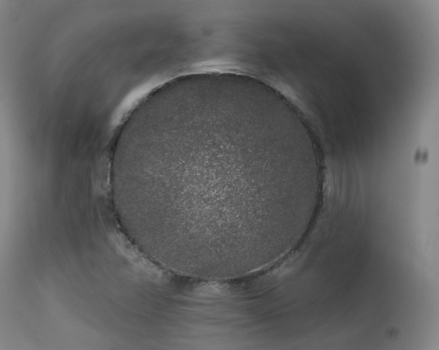 X0000113611358200909251132