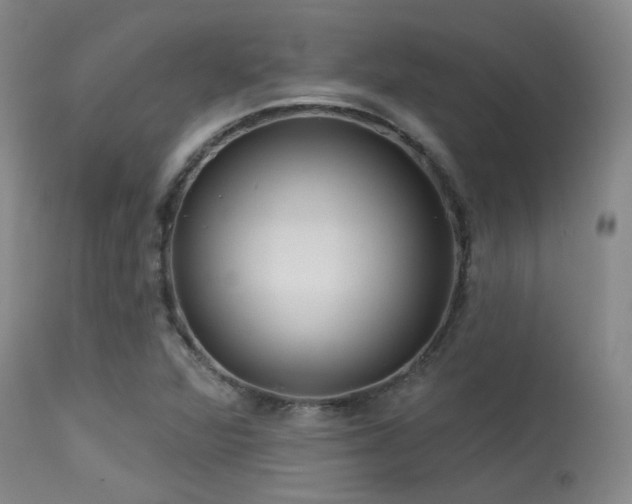 X0000113611360200909251132