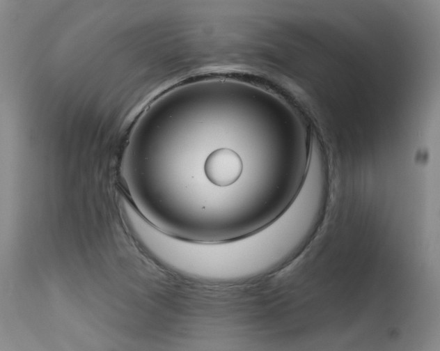 X0000113611361200909251132