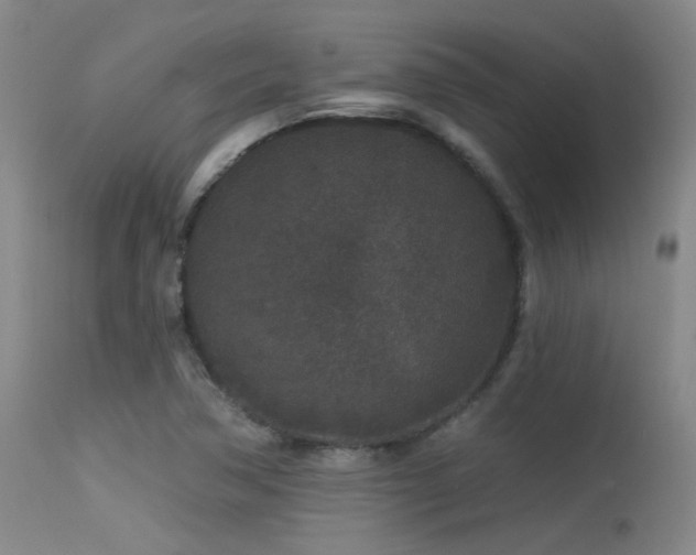 X0000113611362200909251132