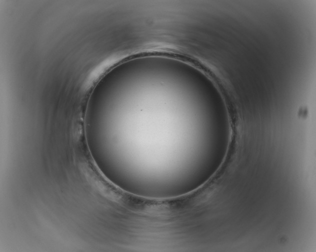 X0000113611363200909251132