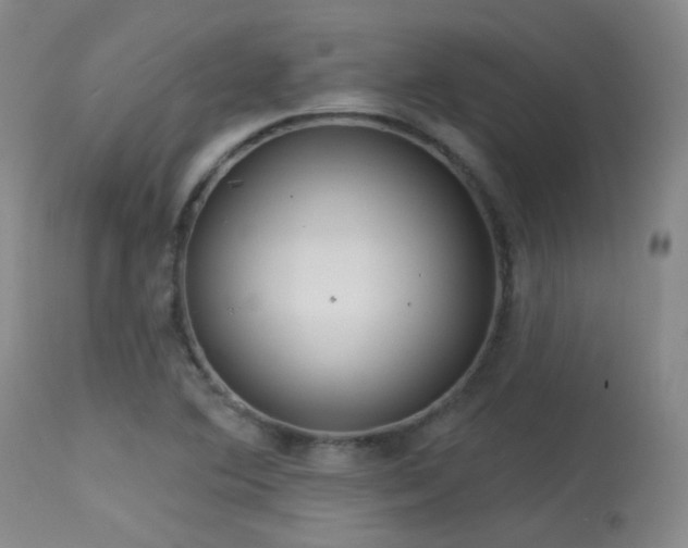 X0000113611364200909251132