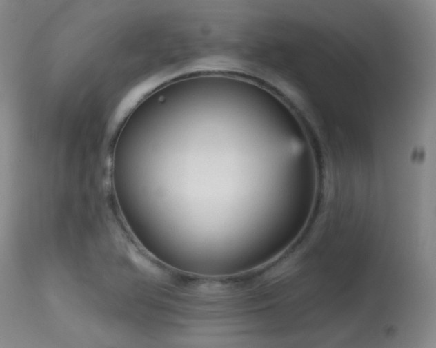 X0000113611366200909251132