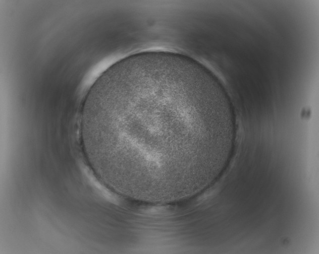 X0000113611367200909251132