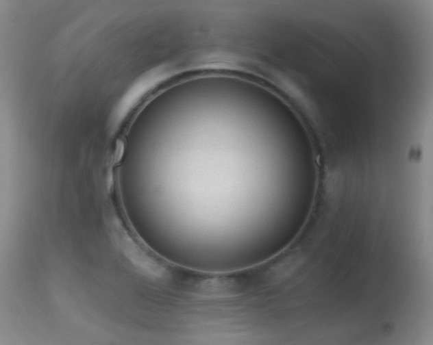 X0000113611368200909251132