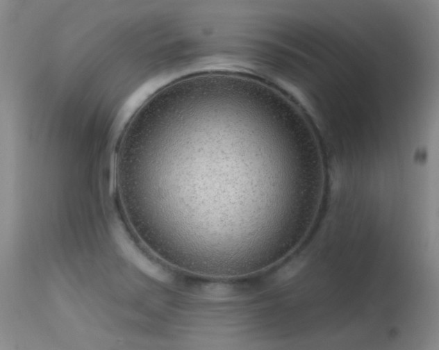 X0000113611371200909251132