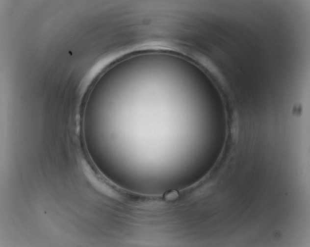 X0000113611372200909251132