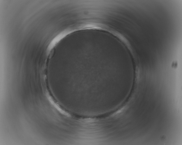 X0000113611373200909251132