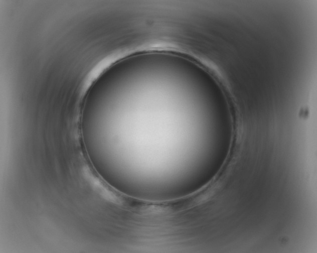 X0000113611374200909251132