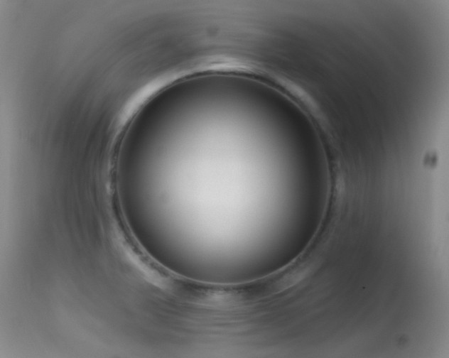 X0000113611375200909251132