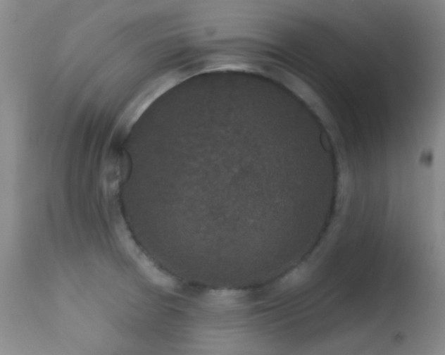 X0000113611377200909251132