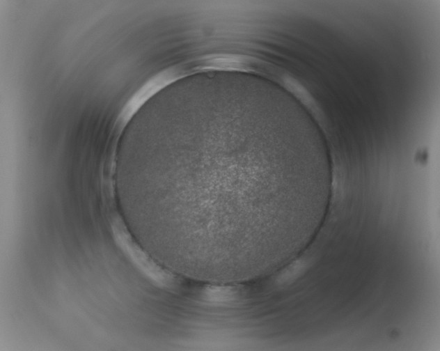 X0000113611378200909251132