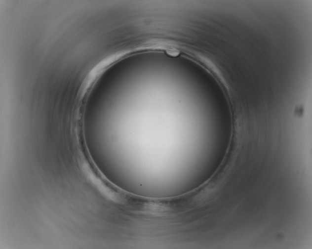 X0000113611379200909251132