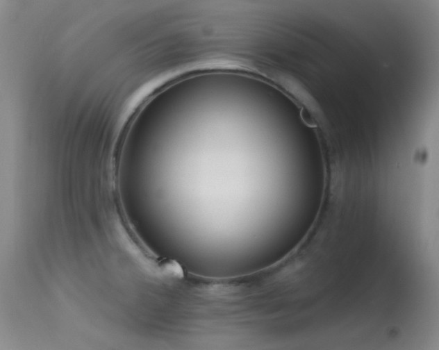 X0000113611380200909251132