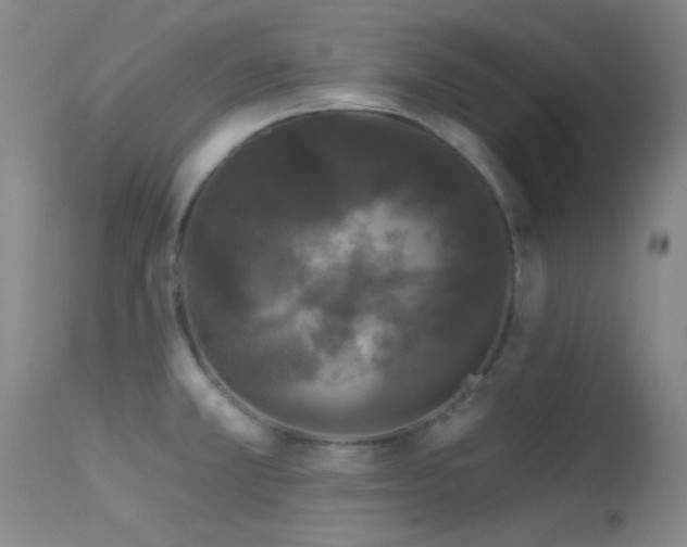 X0000113611381200909251132