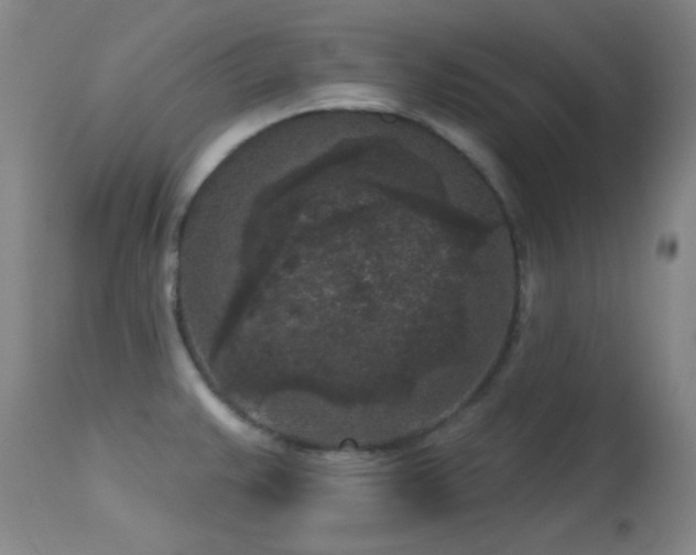 X0000113611383200909251132