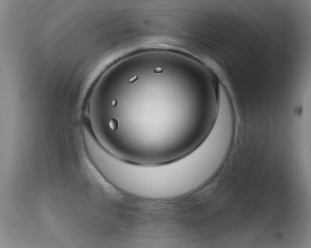 X0000113611384200909251132