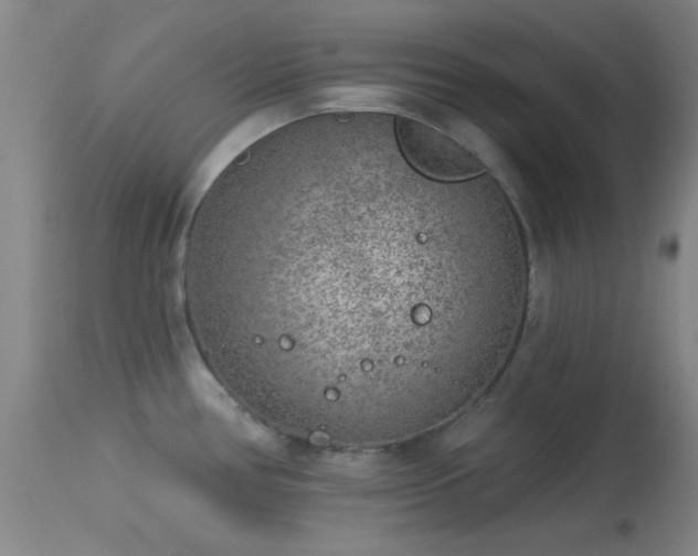 X0000113611386200909251132