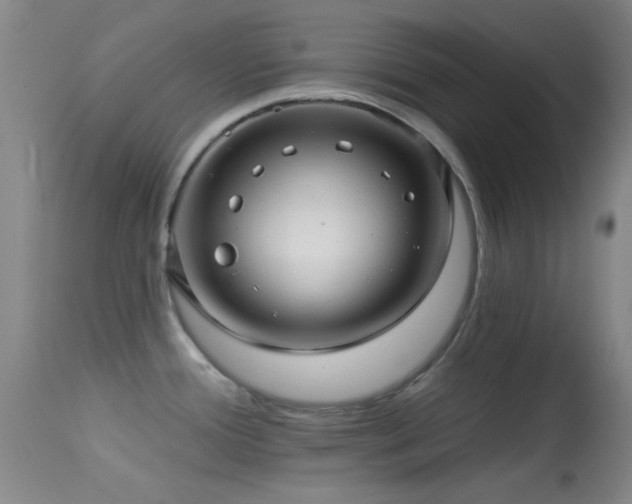 X0000113611388200909251132