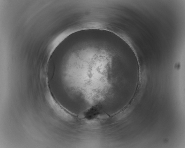 X0000113611389200909251132