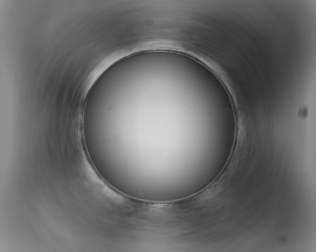 X0000113611390200909251132