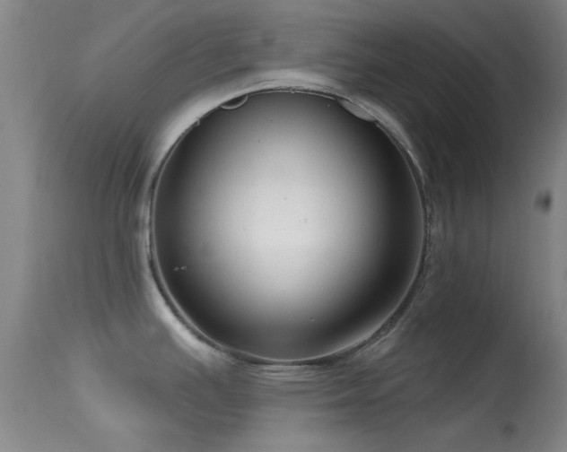 X0000113611391200909251132