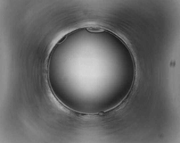 X0000113611392200909251132