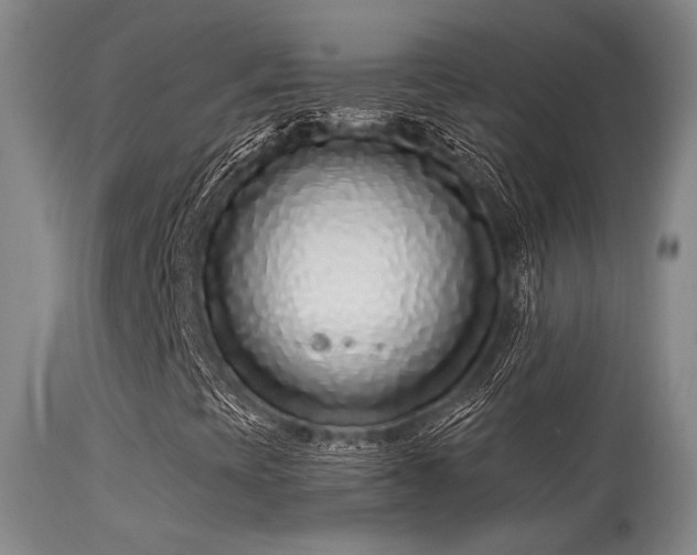 X0000113611393200909251131