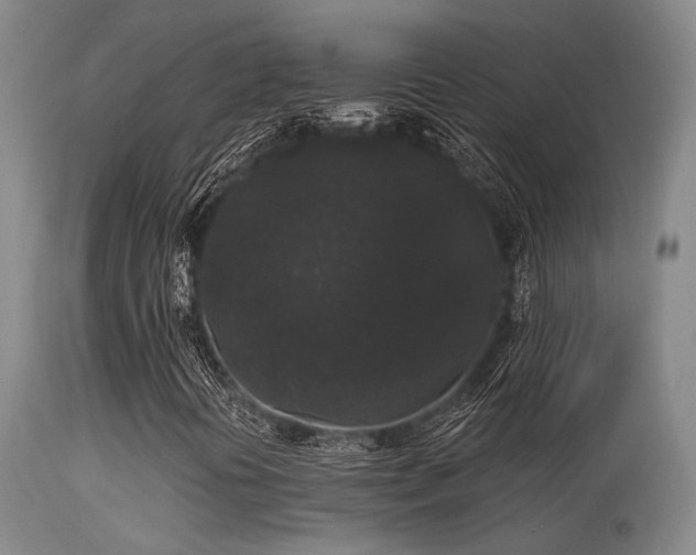 X0000113611394200909251131