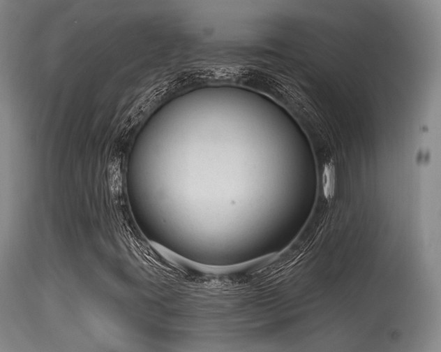 X0000113611395200909251131