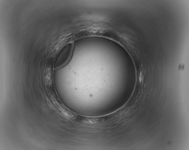 X0000113611396200909251131