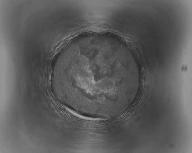 X0000113611397200909251131