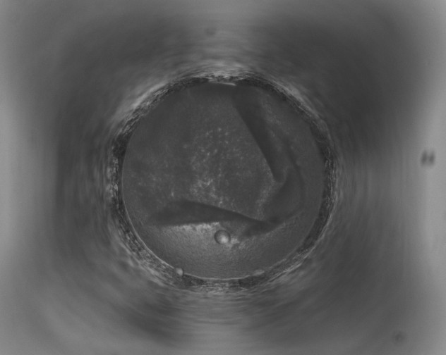 X0000113611399200909251131