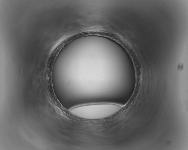 X0000113611400200909251131