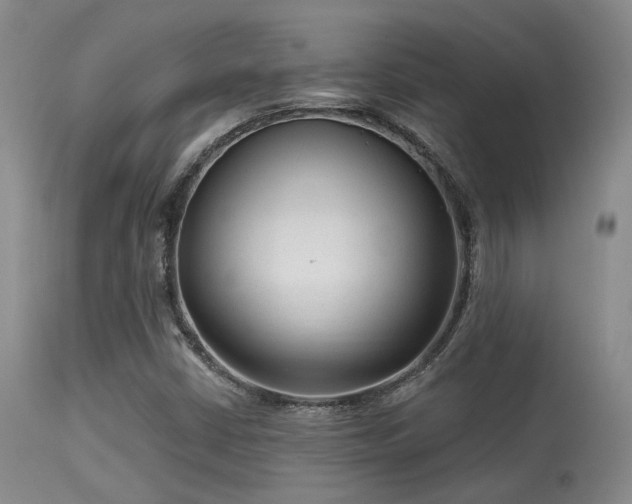 X0000113611402200909251131