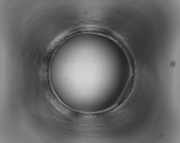 X0000113611403200909251131