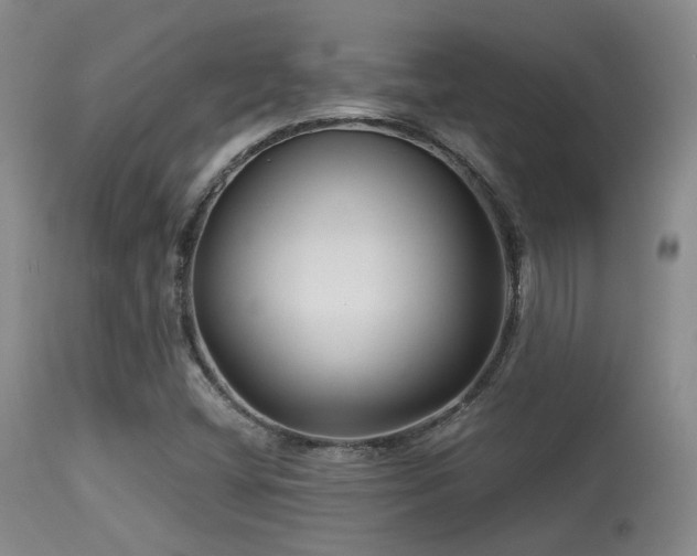 X0000113611404200909251131