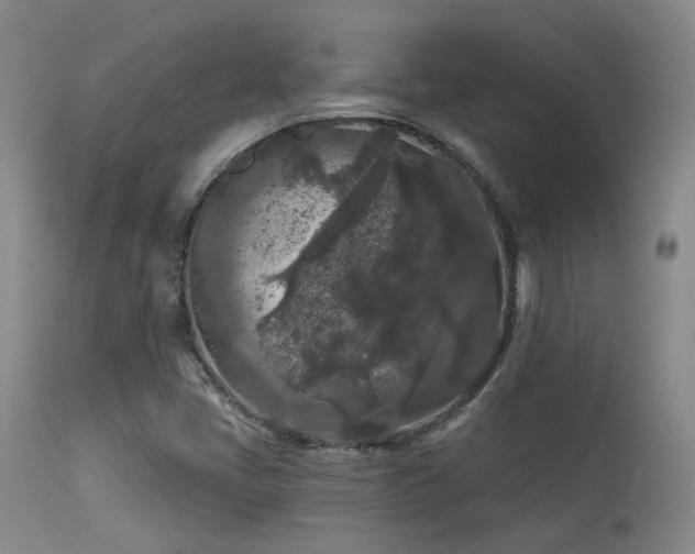 X0000113611405200909251131