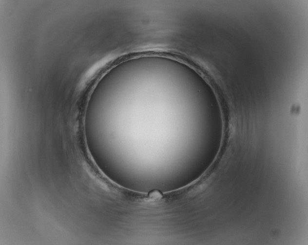 X0000113611406200909251131