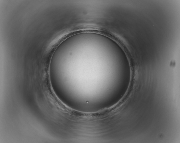 X0000113611407200909251131