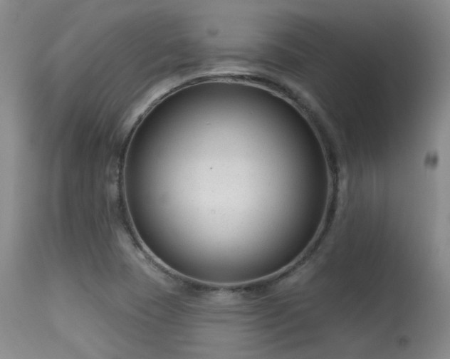 X0000113611409200909251131