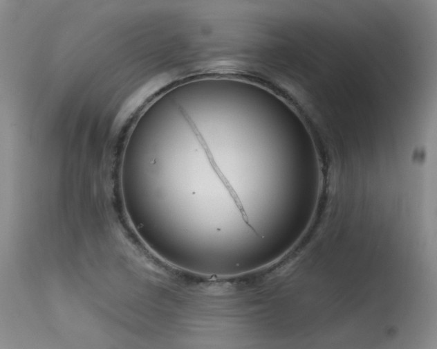 X0000113611410200909251131