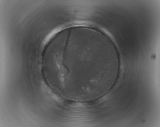 X0000113611411200909251131