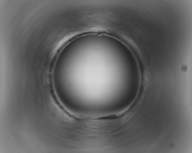 X0000113611412200909251131