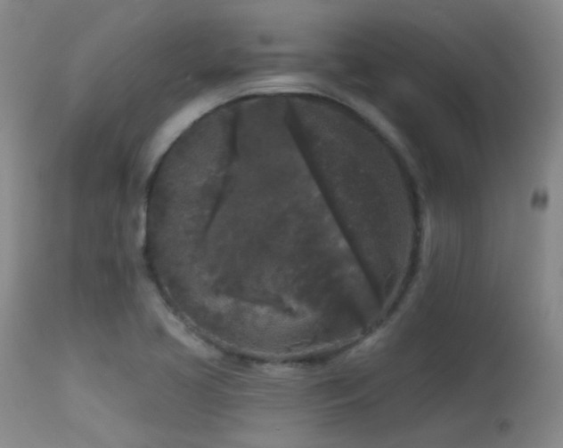 X0000113611413200909251131