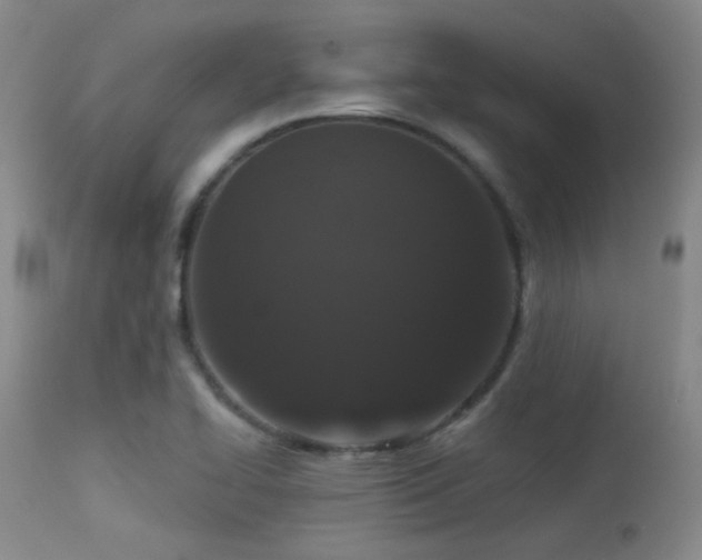 X0000113611414200909251131