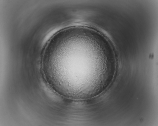 X0000113611415200909251131